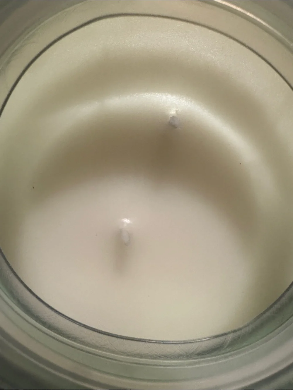 Mint & Eucalyptus Luxury 2-Wick Candle NEW 🏷️